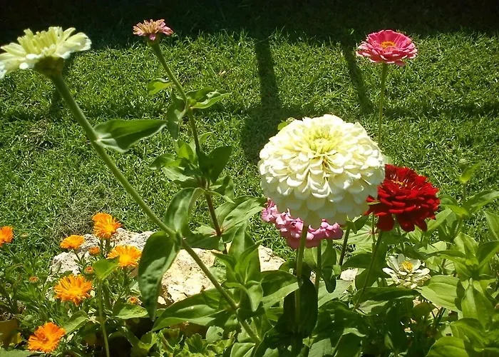 Sunnysun Studios شقة فندقية 3*