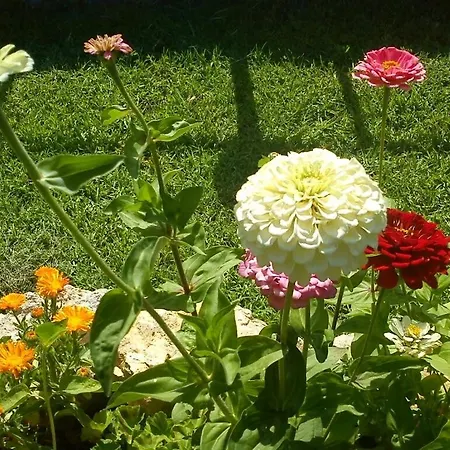 Sunnysun Апарт-отель 3*